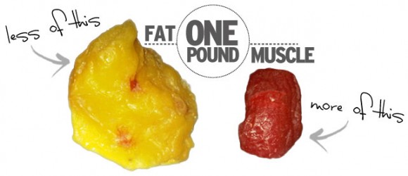 More muscle less fat