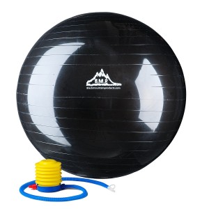 Premium Stability Ball